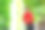 印度/亚洲拼贴男孩，穿着红衬衫，戴着眼镜图片下载