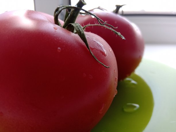 西红柿图片下载