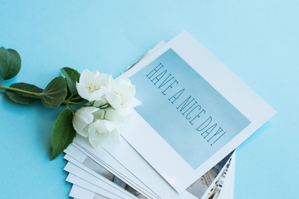 印刷照片，宝丽来卡片，蓝色背景上有白花。模拟了图片下载