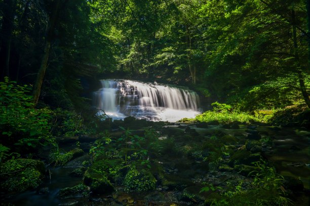 斯普林菲尔德落图片下载