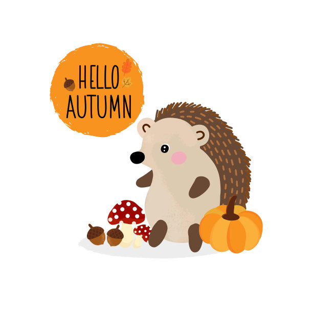 可爱的刺猬在秋天。图片下载