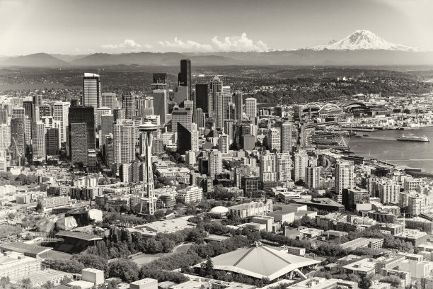 黑色和白色的西雅图城市景观图片下载
