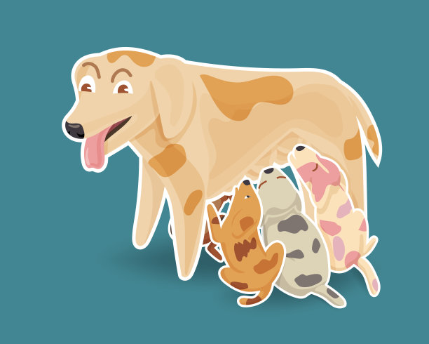 狗妈妈在给小狗喂奶。图片下载