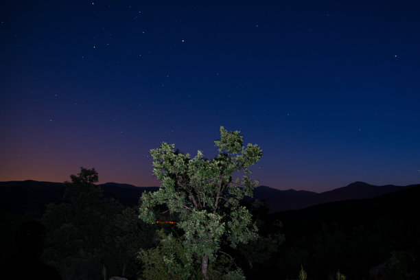 美丽的树和天空与银河图片下载