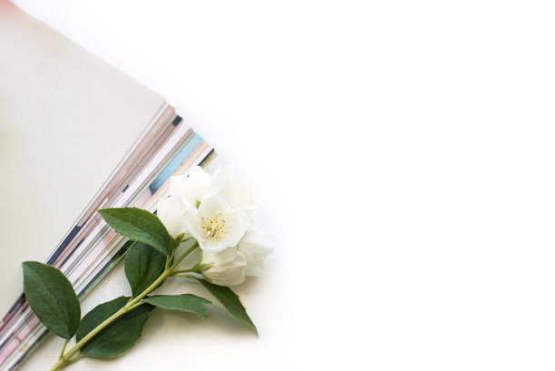 印刷照片，宝丽来卡片，蓝色背景上有白花。模拟了图片下载