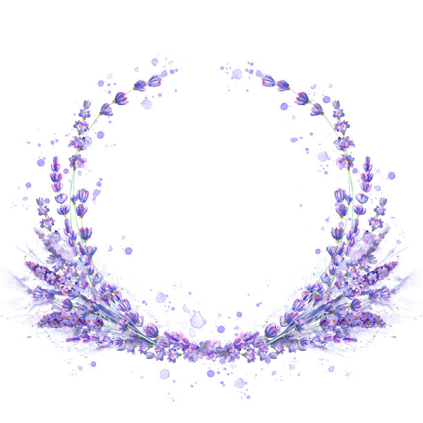 薰衣草花紫色水彩圆形框架孤立在白色的背景素材图片
