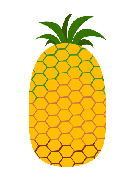 大菠萝矢量图图片下载