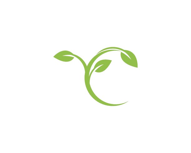 绿叶生态自然元素图片下载