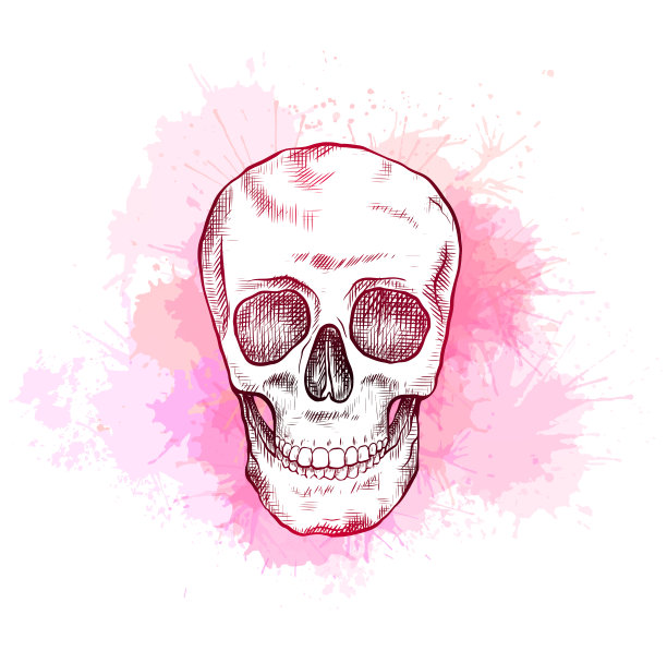 在粉红色水彩飞溅上画有孵化的人类头骨。前视图。线的艺术。颜色雕刻图片图片下载