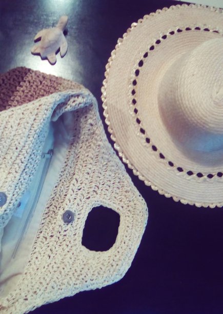 暑假的帽子，包和海龟照片图片下载