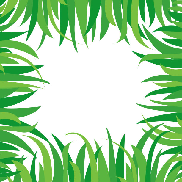 装饰背景与绿色的草孤立在白色的背景。自然风格的方形框架，为你的文本留出空间。向量图片下载