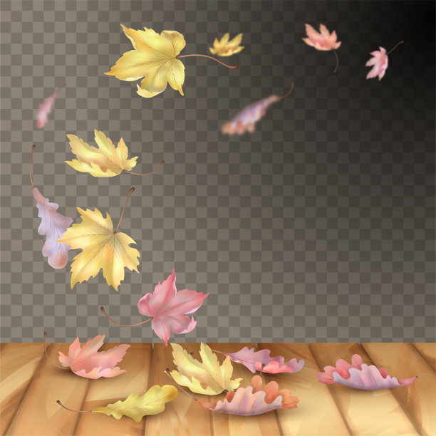 了秋天的落叶图片下载