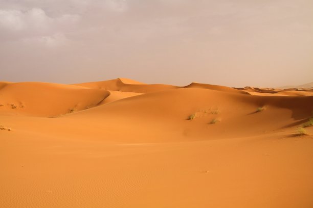 孤独孤立的沙丘带在撒哈拉沙漠靠近Erg Chebbi，摩洛哥图片下载