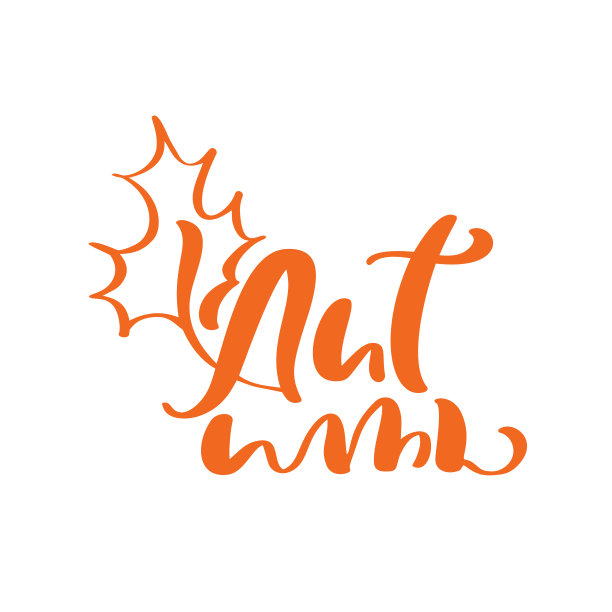 橙色矢量字书法秋叶文字。手绘插图贺卡孤立在白色背景。非常适合季节性节日，比如感恩节图片下载