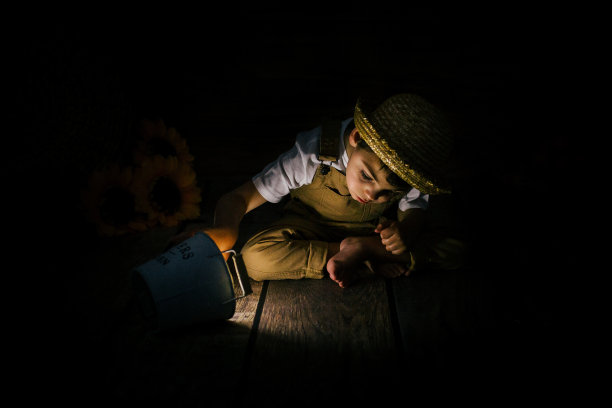 砸碎蛋糕向日葵田图片下载