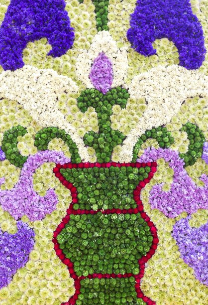 背景色彩鲜艳的花图片下载