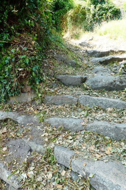 穿石针图片下载