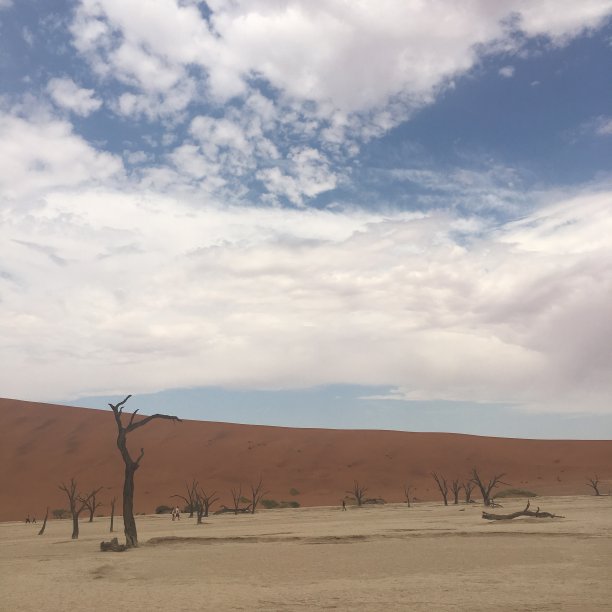 纳米比亚的索苏斯图片下载