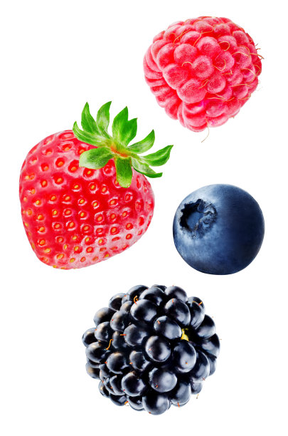 孤立的白色背景上的浆果图片下载