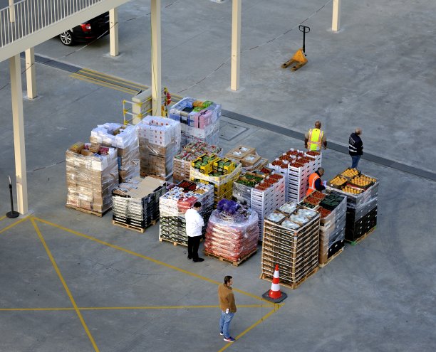 检查新鲜供应品图片下载