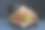 火腿和奶酪三明治和纸杯上的饮料在黑暗的背景。生菜和番茄片是三明治的馅料。图片下载