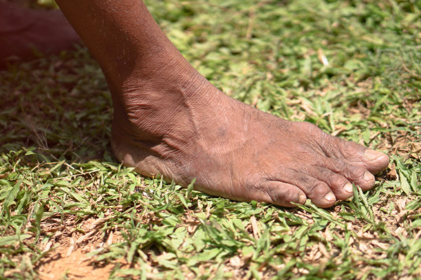 光着脚踩在阳光下的绿草地上。库存图片图片下载