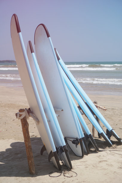 停在印度洋海滩上的冲浪板。美丽的海景和沙滩。库存图片图片下载