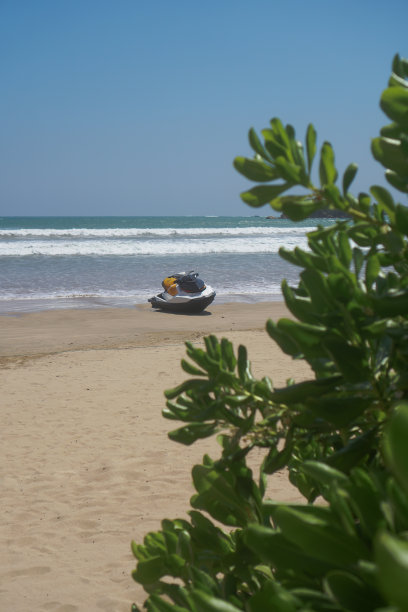 海滩上的绿色植物映衬着热带的海洋、大海。亚洲的绿色和它的风景。库存图片图片下载