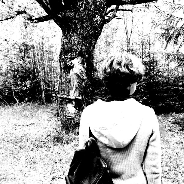 森林里的一个女人图片下载