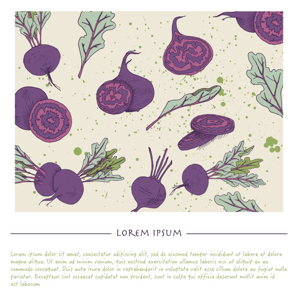 食物背景与甜菜根蔬菜手绘彩色社交媒体模板图片下载