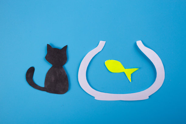 猫和鱼图片下载