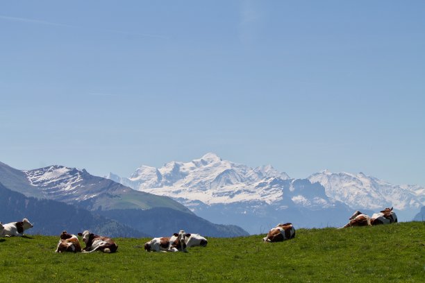 勃朗峰图片下载