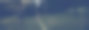 商人走扁带培训。夏日午后的公园图片下载
