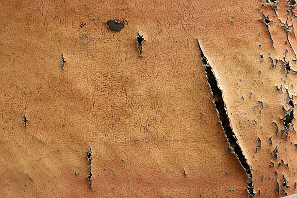 旧的皮革图片下载