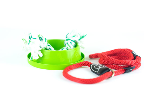 宠物饰品概念。碗，绳子和玩具宠物在孤立的白色背景。图片下载