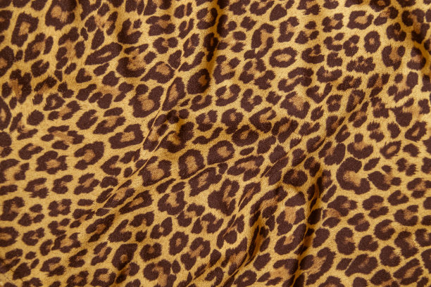 豹纹图片豹纹图像布纹纹理图片下载
