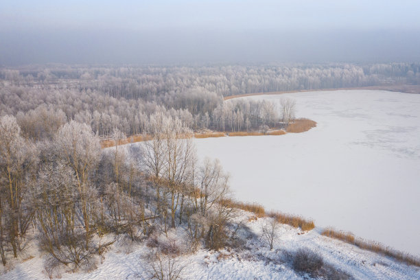 霜和白霜覆盖着树木。从上面鸟瞰白雪覆盖的森林和湖泊。冬天的风景。用无人机拍摄的风景照片。图片下载