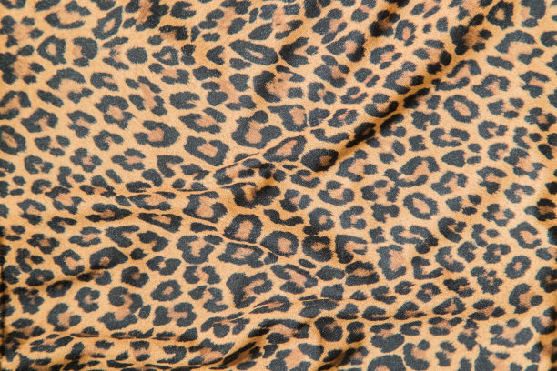 豹纹背景纹理safari图案豹纹面料设计图片下载