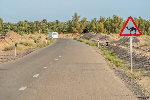路标：注意沙漠中的骆驼。伊朗卢特沙漠中的骆驼穿过道路标志图片下载