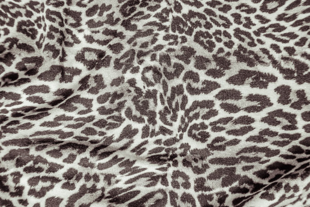 豹纹图片豹纹图像布纹纹理图片下载