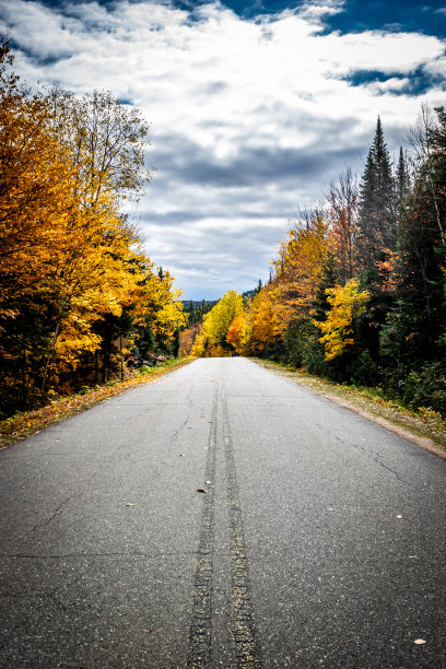 秋季森林和高山。图片下载