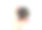 女人的手在海滩上牵着一只黑色海胆的特写图片下载