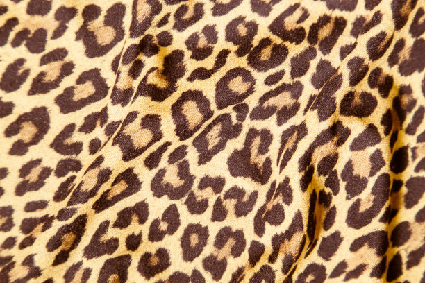 豹纹图片豹纹图像布纹纹理图片下载