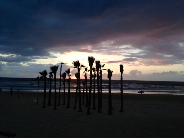 夜晚跳舞的女士们图片下载