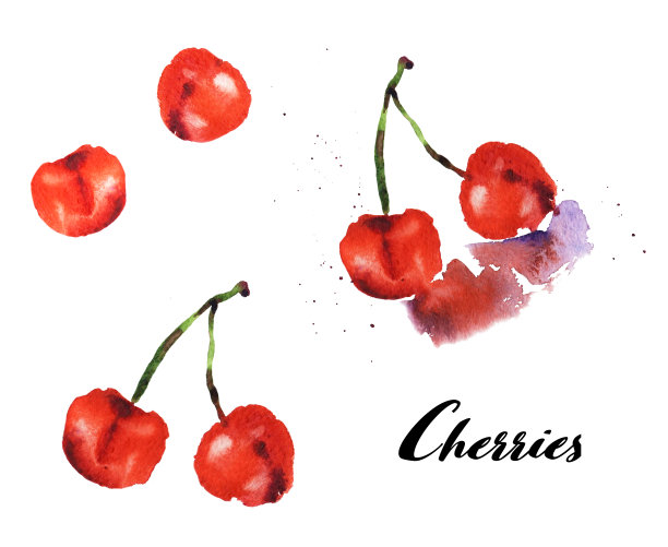 水彩一套红色多汁的樱桃。草图。手绘食物插图。图片下载