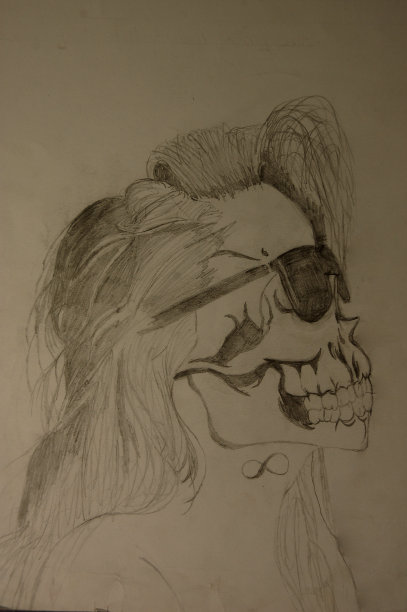 夫人的头骨图片下载