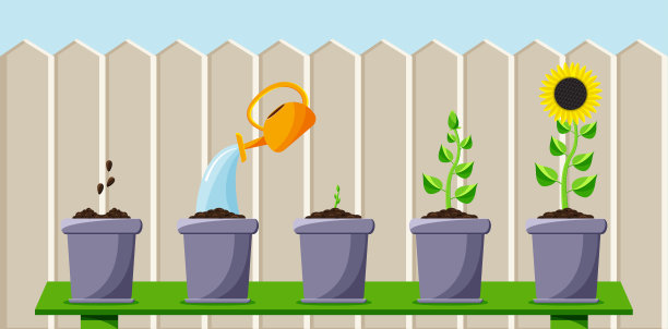 卡通过程的种植和种植的花图片下载