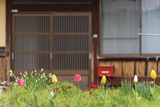 日本住宅的花园图片下载