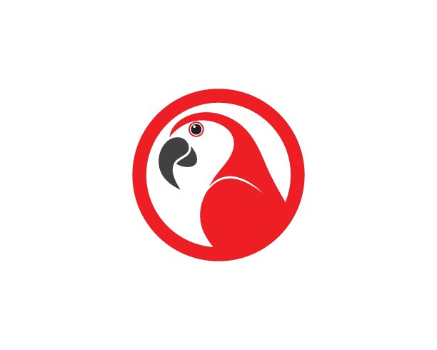 Parrot插图模板设计图片下载