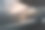 汽车后窗窗帘遮阳。昆虫屏幕图片下载